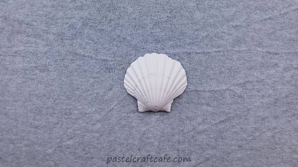 A seashell painted with white primer